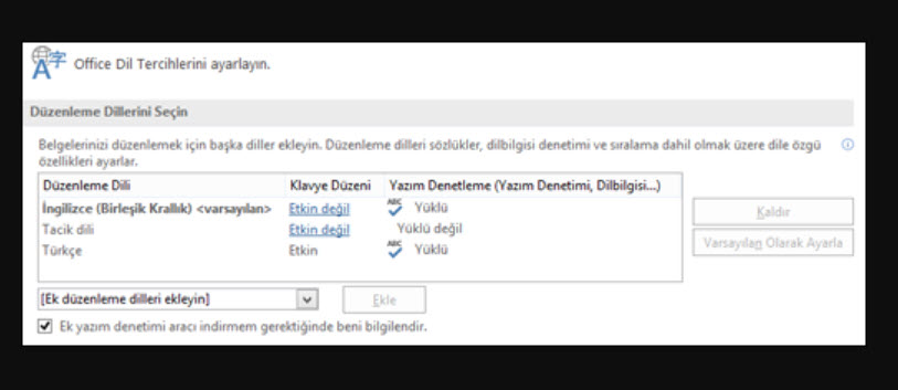 Office 2016 Türkçe Dil Paketi Gezginler